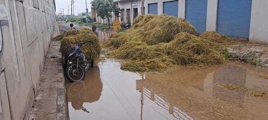 A trolley laden with straw overturned in a pit on the service road in Bhuni