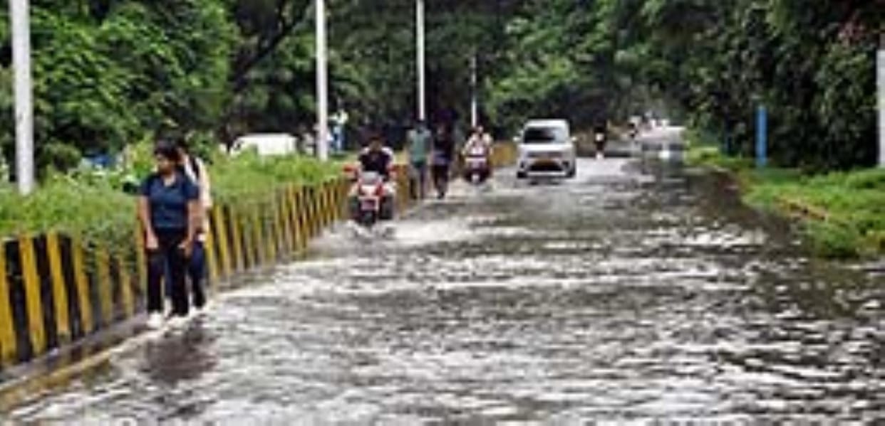 Due to rain, roads in the city were flooded, houses were filled with water, trees also fell