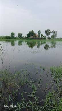 Water entered the population in Anupshahr