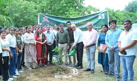 Plant two trees in the name of a drug-free home