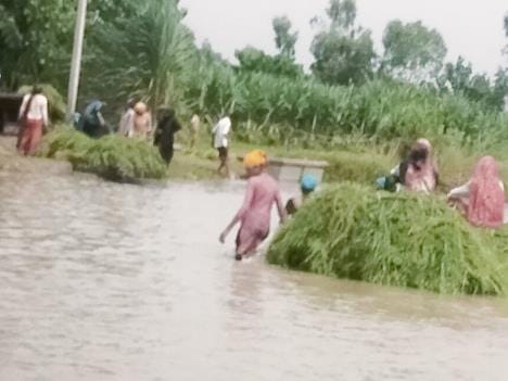 Ganga overflowed... water reached villages, crops submerged