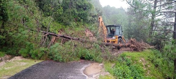Most of the roads are blocked due to rain