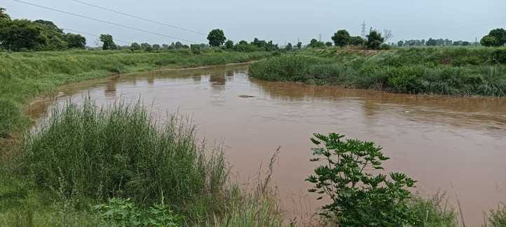 Ghaggar water level is continuously rising