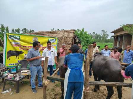 Explained the importance of micronutrients in animal feed