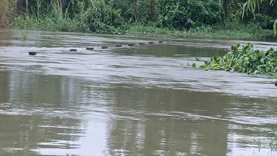 Khakra river in spate, Rapta bridge submerged, traffic affected