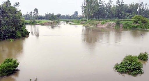 Water flowed in Bhainsi river after 15 years