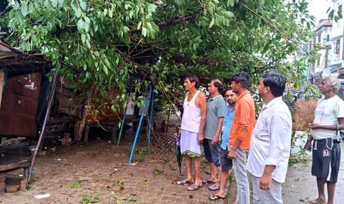 Four kiosks and a drinking water stall were damaged due to the falling of a tree