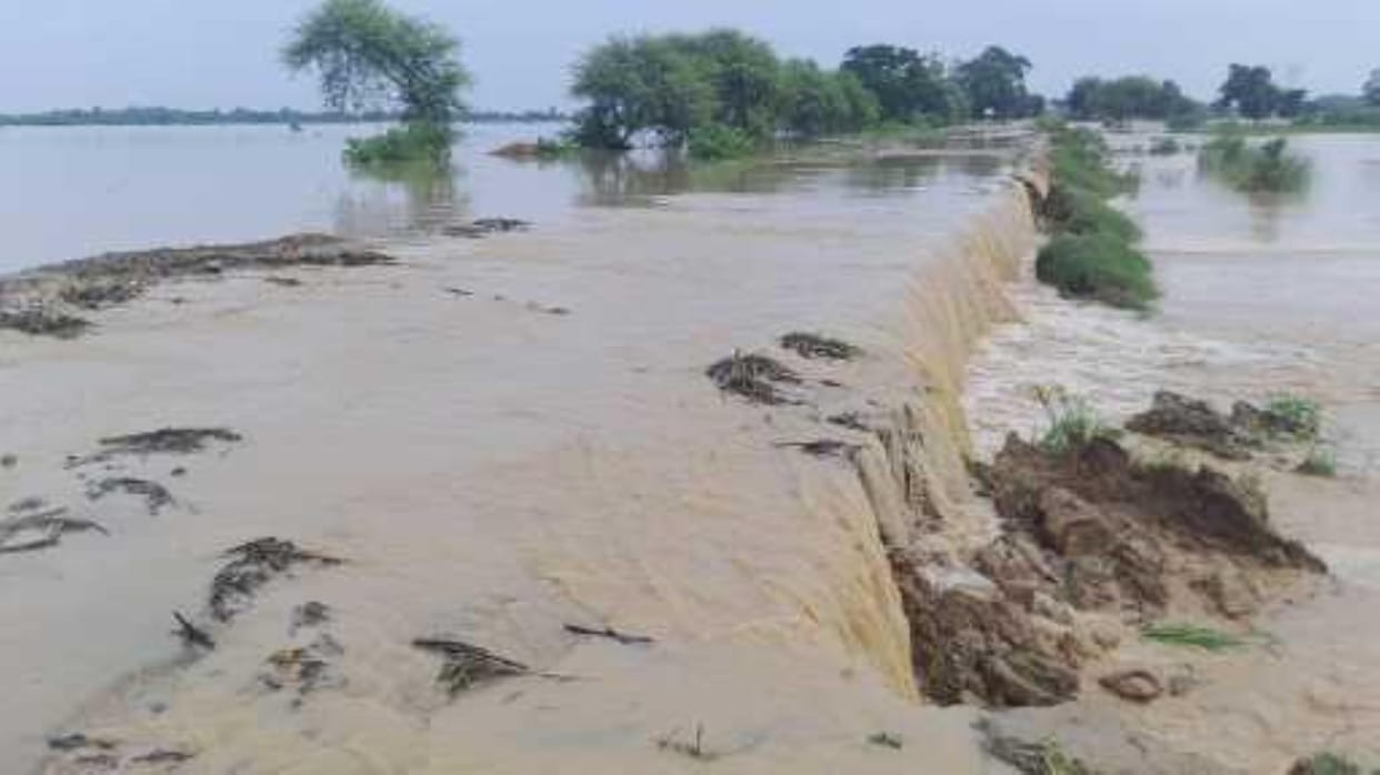 Rapti flowing 145 cm above the danger mark