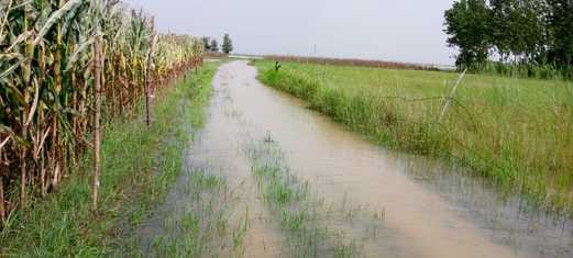 Flood like situation, crops submerged in eight villages, water filled on roads