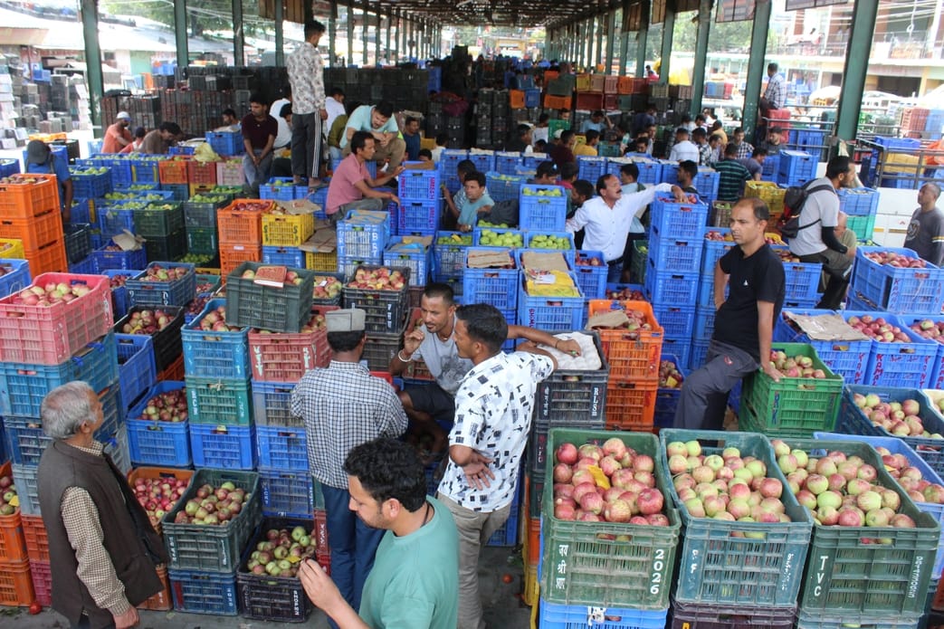As soon as the weather opens, gardeners are busy plucking apples