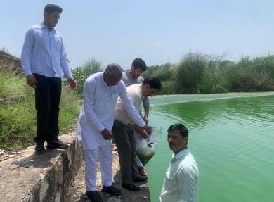 Fish seeds released in Masani Barrage