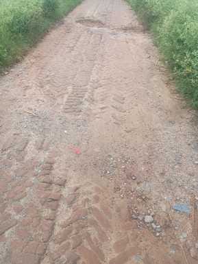Demand for construction of link road from Bans Kanti to Nawadi Rampura