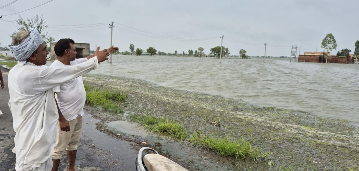 Farmers lost contact with their fields, houses of Dang Khurd's Dhani submerged in water
