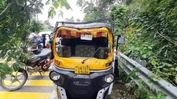 Tree fell on a moving tempo, people narrowly escaped