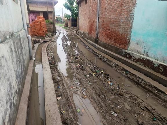 Mosquitoes are breeding due to clogged drains, dirt and waterlogging in Madarpur