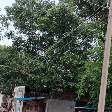 There is mourning in the village due to the death of two Kanwadis, the last rites were performed in a sad atmosphere