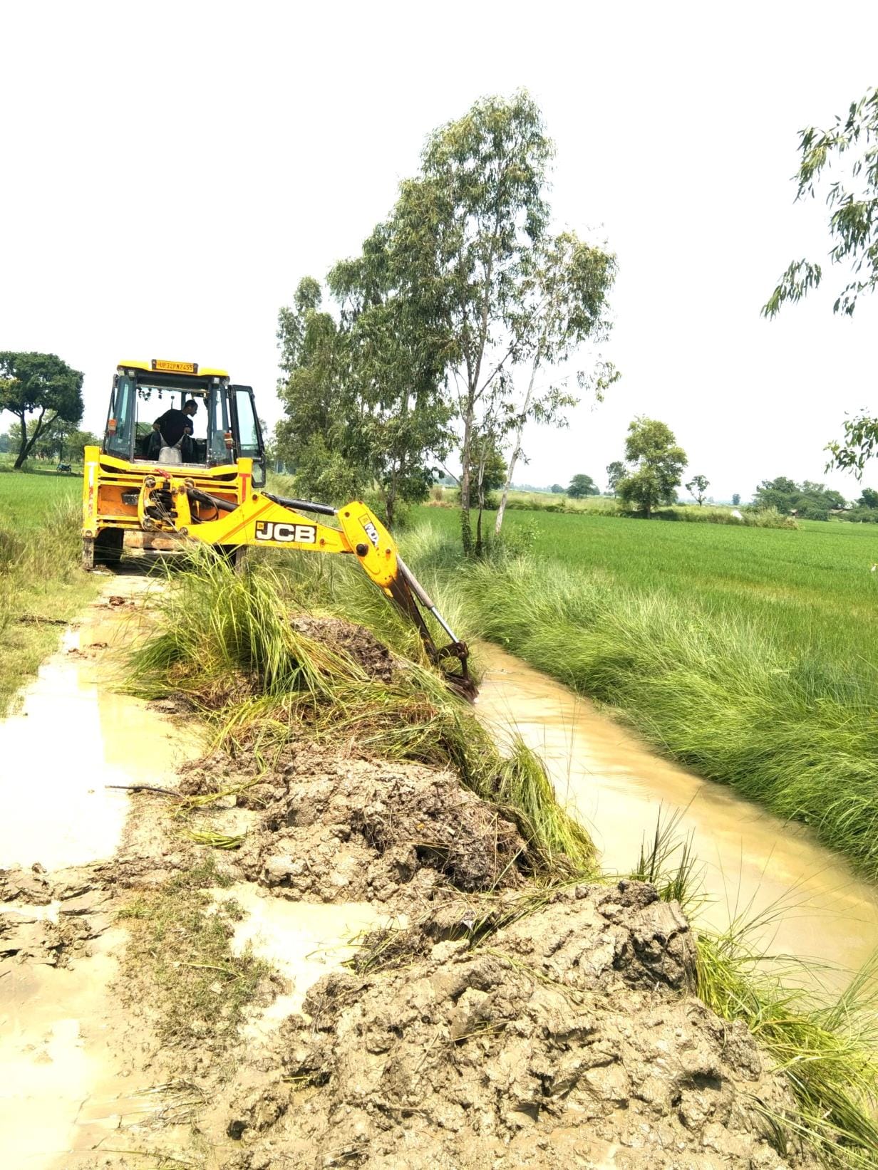 Farmers are busy saving the submerged paddy crop by collecting donations