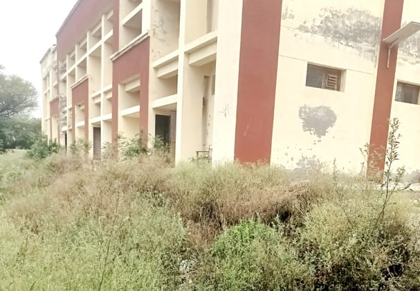 CHC Alewa has become a habitat for poisonous creatures, no improvement even after warning