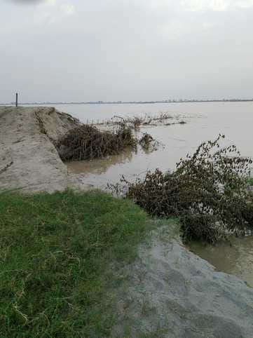 Yamuna wreaks havoc in Sheetal Garhi, 50 bighas of land washed away into the river due to erosion