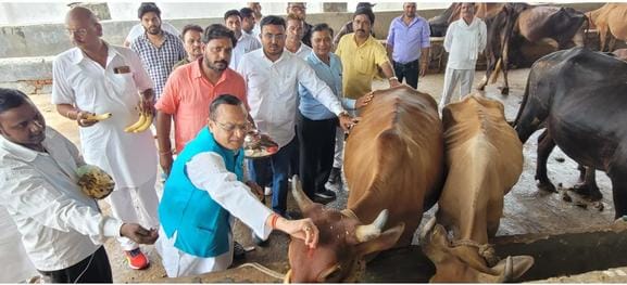 BJP leader raised questions on fodder and water for cows in Kanha Upvan Gaushala.