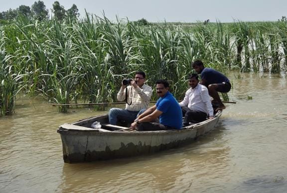 DCO inspected flood affected sugarcane crops