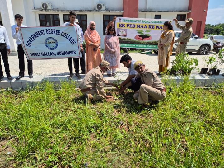 Majalta, Tree Plantation, Degree College Neeli Nala