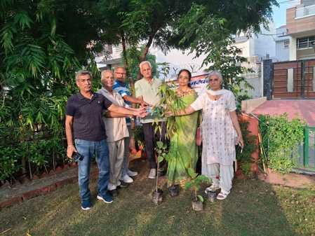 500 plants were planted in the name of one plant for mother