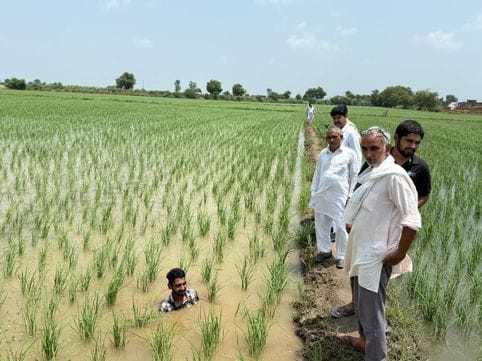 Due to the negligence of the department, fields are flooded and farmers are worried