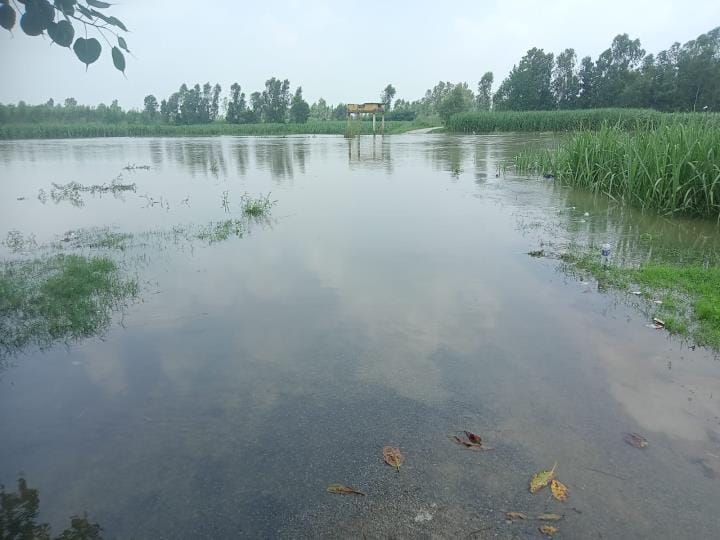 Crops submerged due to Ganga water, more than 20 villages cut off from communication