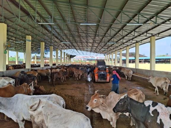 Demand raised to build Trauma Center in Kanha Upvan