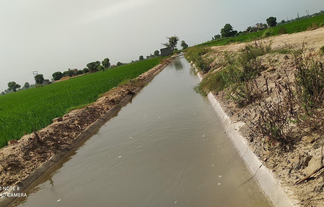 Irrigation crisis due to minor overflow, water did not reach the tail