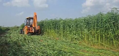 Occupation removed from eight acres of corporation land in Sunariya village