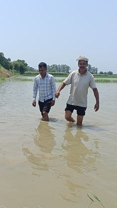 Ruin due to rain...farmers had nurtured dreams by taking loans