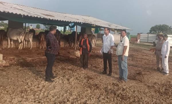 Protected animals will be sent to the ashram only after written complaint from the villagers