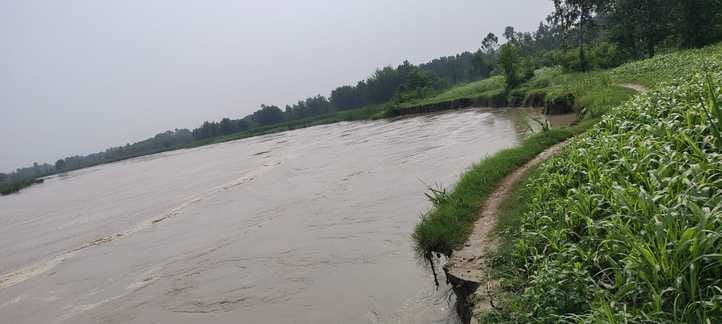 Kichha river overflowed, crops submerged
