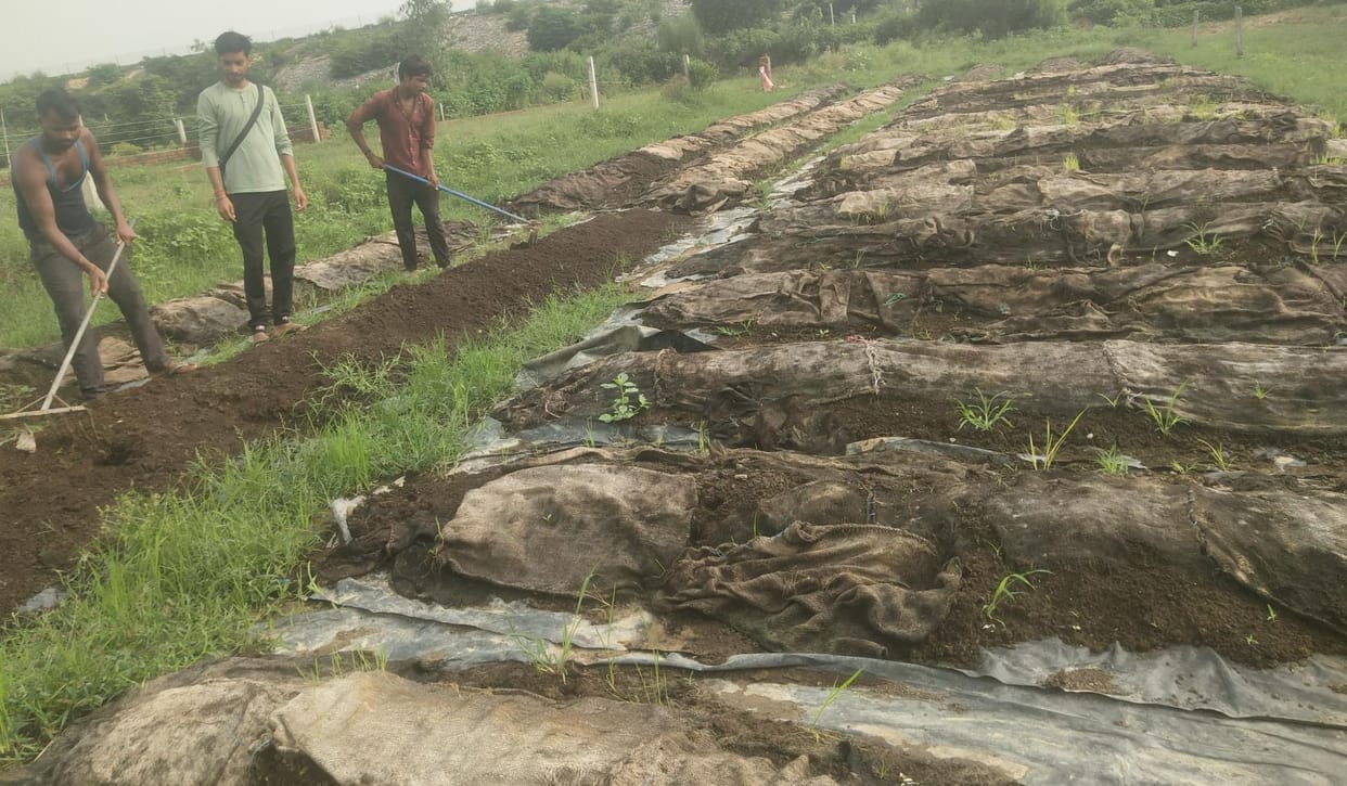 Young farmer started the work of making vermi compost fertilizer
