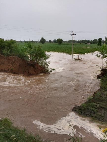 Sheranwali canal broke, 20 acres of crops submerged