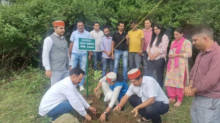 Patwar and Kanungo Federation planted medicinal plants