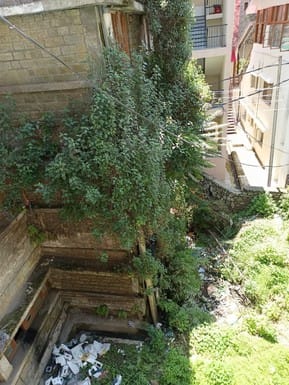 The walls of the mini secretariat are surrounded by bushes, leakage has hollowed out the base