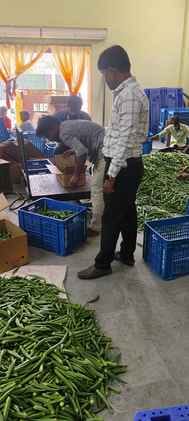 Ladyfinger and bitter gourd from Kaushambi will be served in the plates of people of Dubai