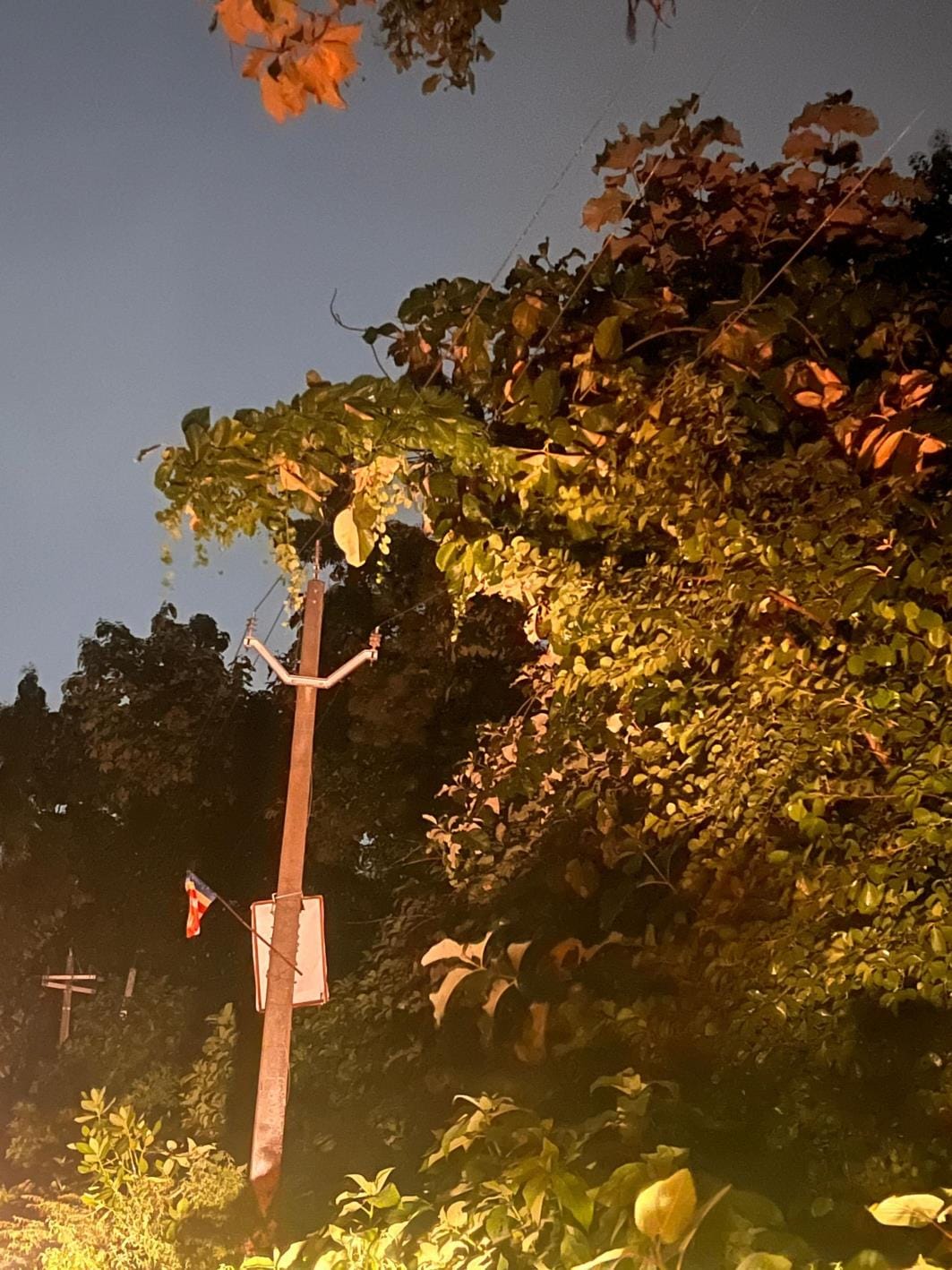 Trees fell on HT lines, power outage