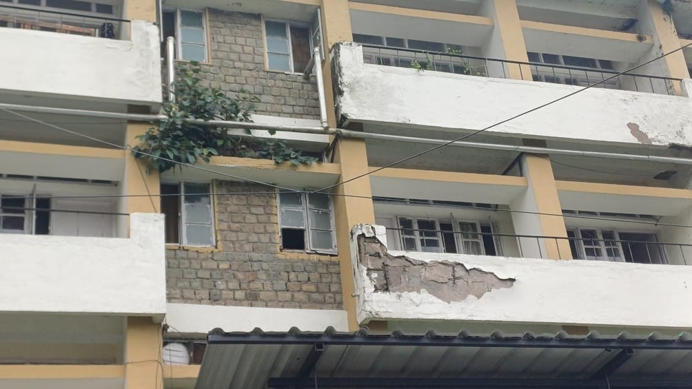 Trees have grown on the walls of the hospital, plaster is peeling off from the ceiling
