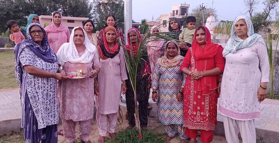 Rakshabandhan was celebrated by tying Rakhi to trees and plants