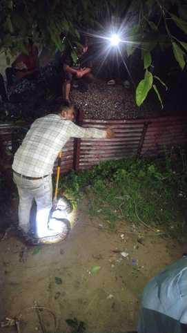 A 10 feet long python appeared in Anupshahr