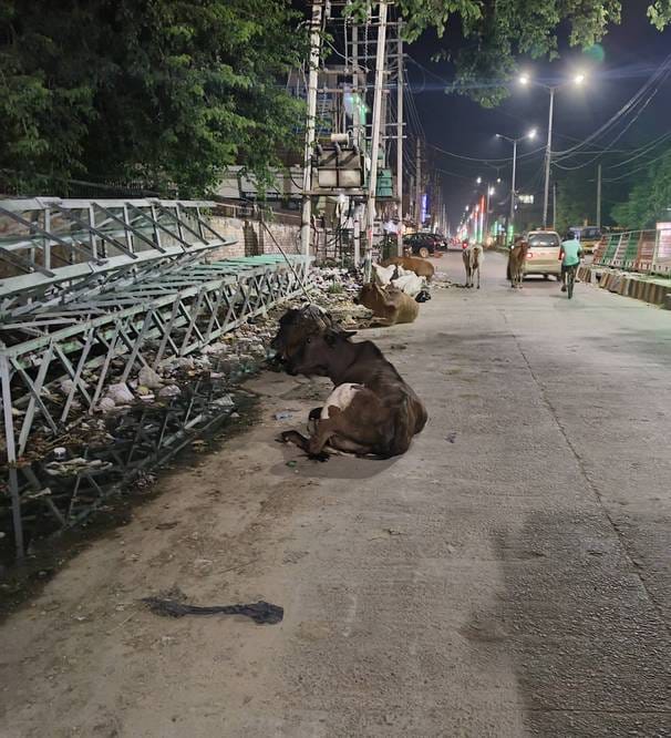 Light and cleanliness problems in five cities of the district, most complaints on GRS portal