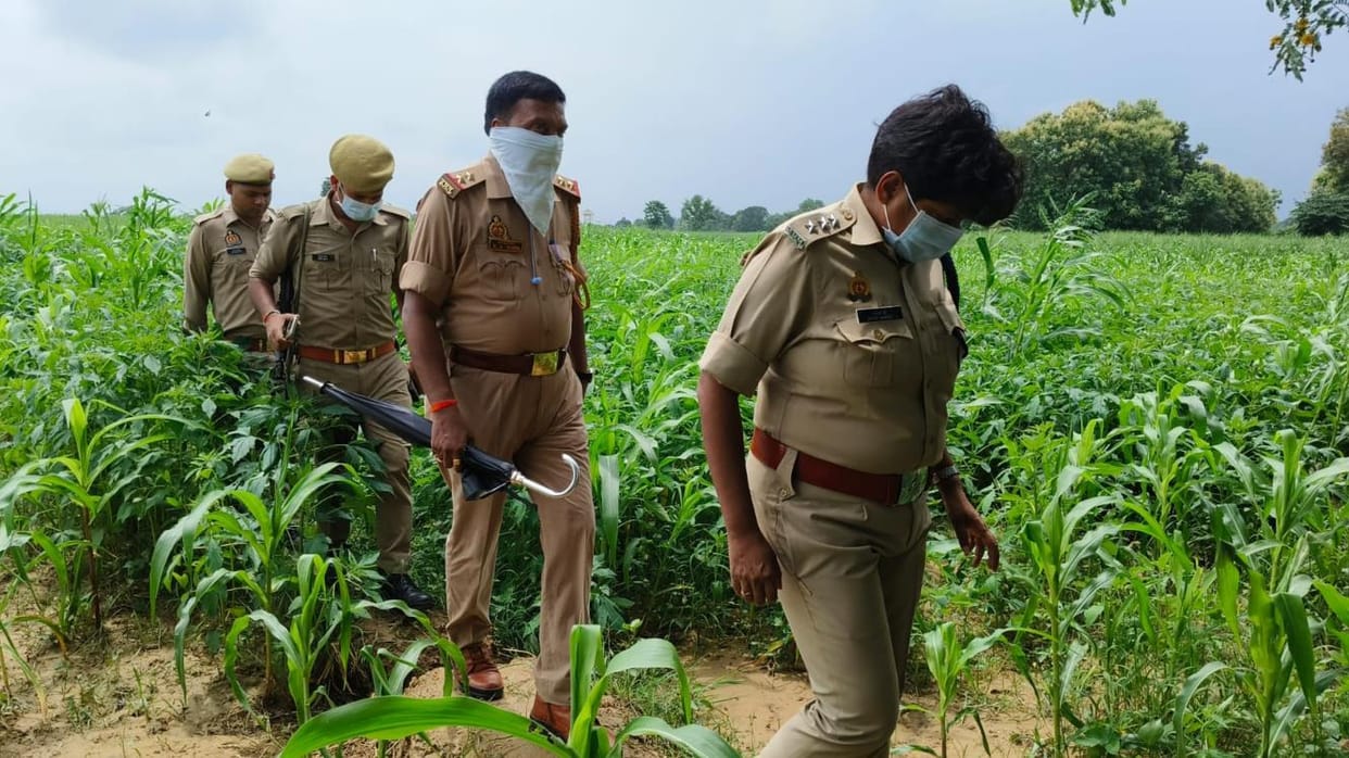 A woman's body was found in a sugarcane field under suspicious circumstances