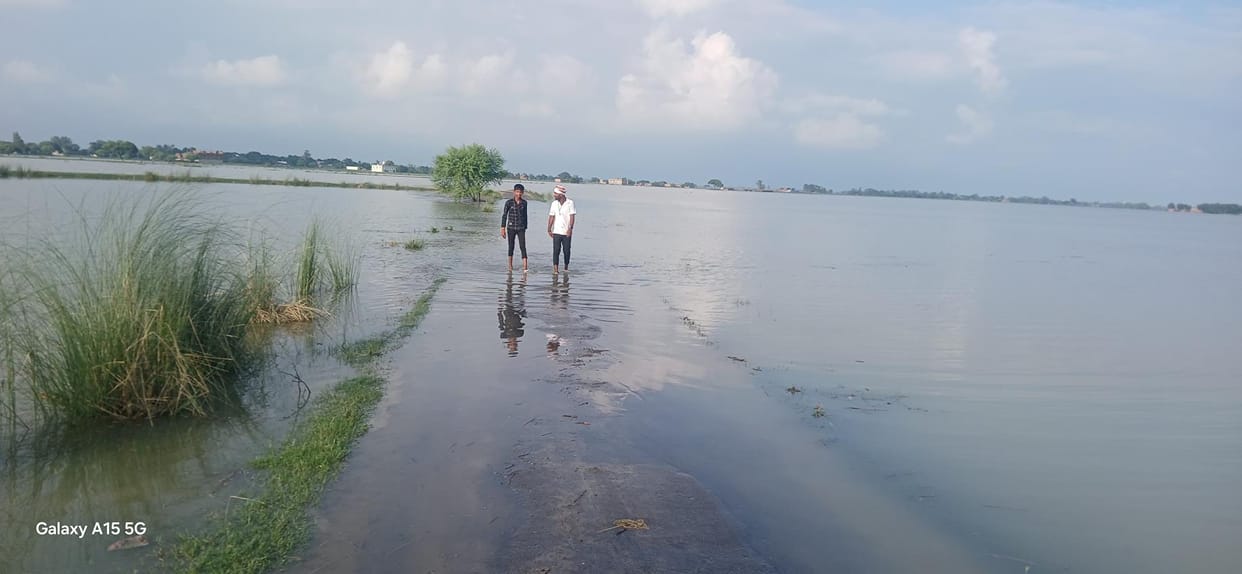 Heavy rain in Nepal, the effect is visible in Gorakhpur, Barhalganj. the crop started sinking