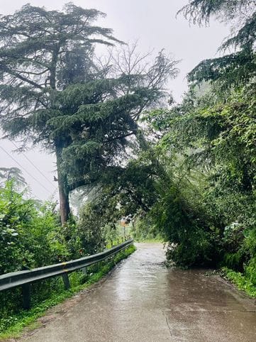 Eight houses and seven cowsheds damaged due to rain, 24 roads closed