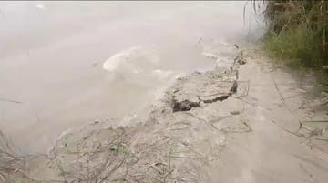 Erosion continues on the second day, sugarcane crop of two farmers submerged in Sharda river