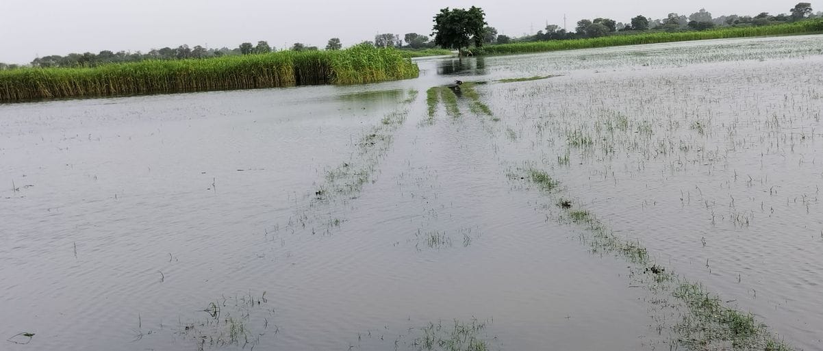 500 acres of crops along Dulhera Minor submerged in water